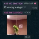 Matematica 3