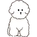 MIKO THE FLUFFY WHITE DOG 11