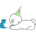 MIKO THE FLUFFY WHITE DOG 6