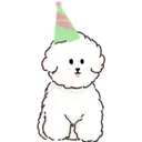 MIKO THE FLUFFY WHITE DOG 4