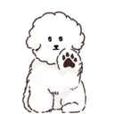 MIKO THE FLUFFY WHITE DOG 10