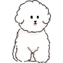 MIKO THE FLUFFY WHITE DOG 7
