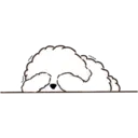 MIKO THE FLUFFY WHITE DOG 17
