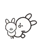 Simple Rabbit mix mov 14