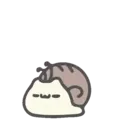 CatSnail Mov 18