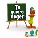 ︎○ ︎ PoCoYo  ︎○ ︎ 11