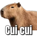 Cui cui