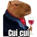 Cui cui