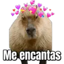 Me encantas