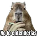 No lo entenderías