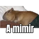 A mimir
