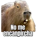No me encanpircha
