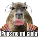Pues no mi ciela