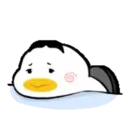 Hip h p duck    mov 19