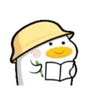 Hip h p duck    mov 13