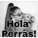 Ariana Grande 1.0 7