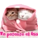 Ay Que Frio Mov ️ 8