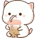 Animaded Peach Cats 18