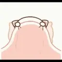 Animaded Peach Cats 8