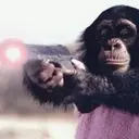 Changuitos  Mov 9