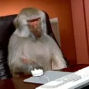 Changuitos  Mov 22