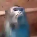 Changuitos  Mov 4