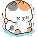Cute 1
