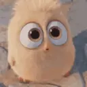 cutee gifs 9