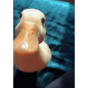 cutee gifs 6