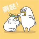 Duck 15