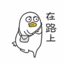 Duck 14