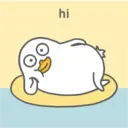 Duck 24