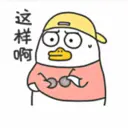 Duck 20
