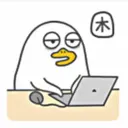Duck 22