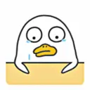 Duck 25