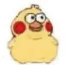 ducks 12