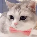 Kskekeke 6
