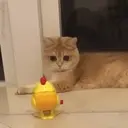 Kskekeke 1