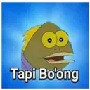 Tapi Bo'ong