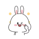 🐇Moto Rabbit🥕 22