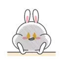 🐇Moto Rabbit🥕 13