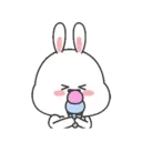 🐇Moto Rabbit🥕 12