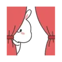 🐇Moto Rabbit🥕 17