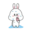 🐇Moto Rabbit🥕 24