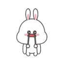 🐇Moto Rabbit🥕 20