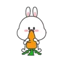 🐇Moto Rabbit🥕 11