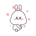 🐇Moto Rabbit🥕 14