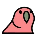pepe 7