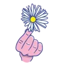 ● Hand Pink Mov. ● 23