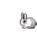 ☆ Animalitos Cute Mov. ☆ 15